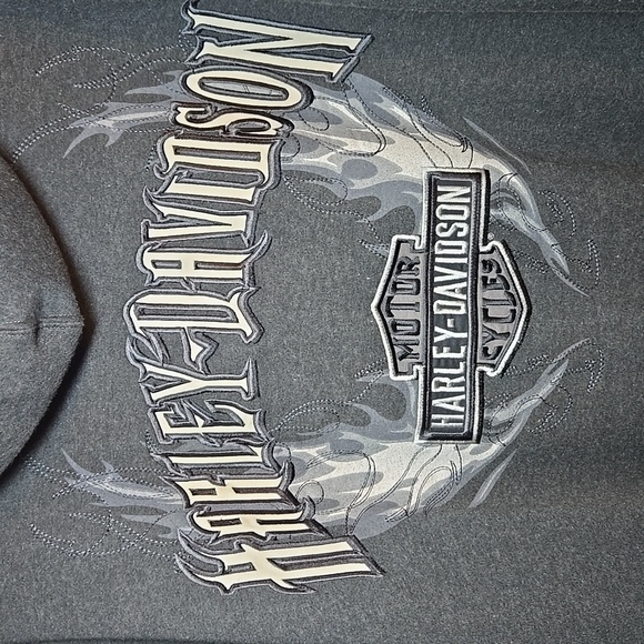 Harley-Davidson Men's Full Zip Cotton Large Logo Back Hoodie Swestshirt 3XL NWOT - Picture 2 of 14